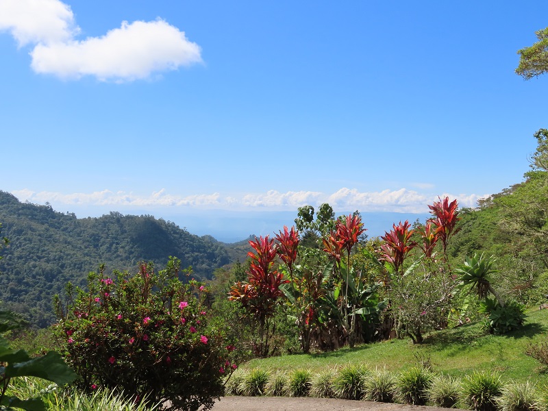 Bosque del Tolomuco. Photo © Gina Nichol 