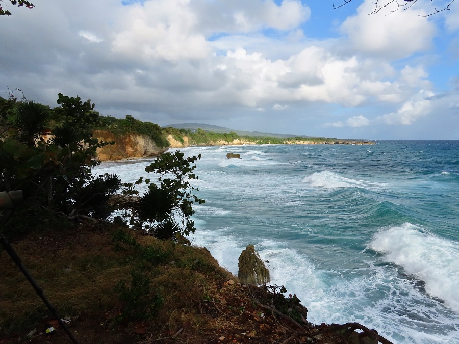 Coast at Hector's River. Photo © Gina Nichol.