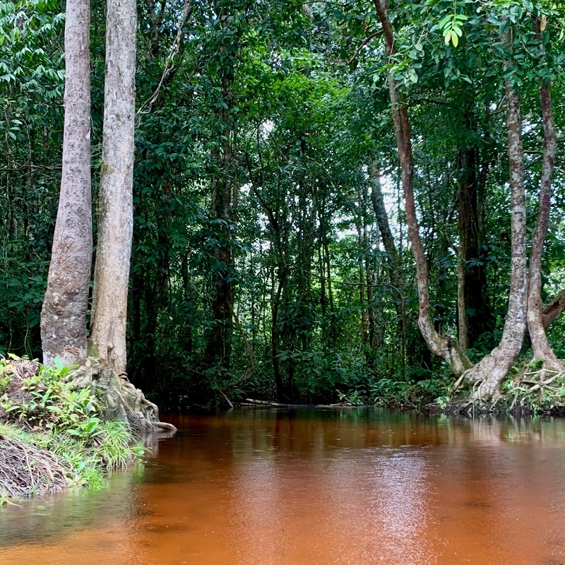 Pueblo Nuevo Creek © Diego Calderon. 