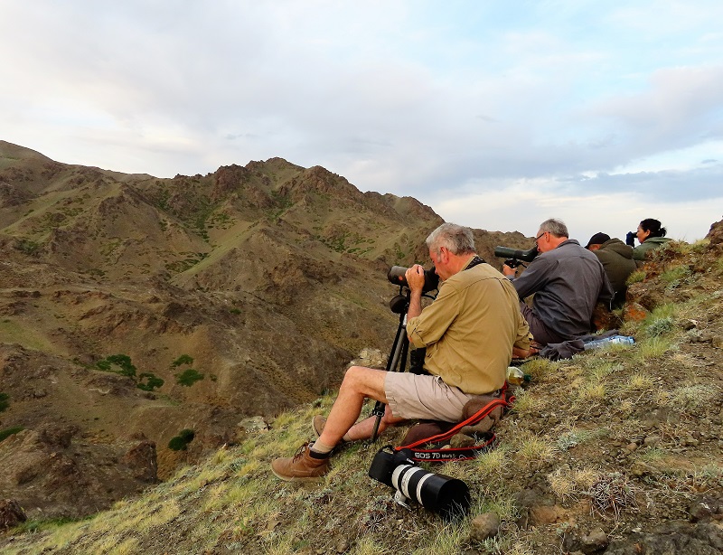 Looking for Snow Leopard. Photo © Gina Nichol