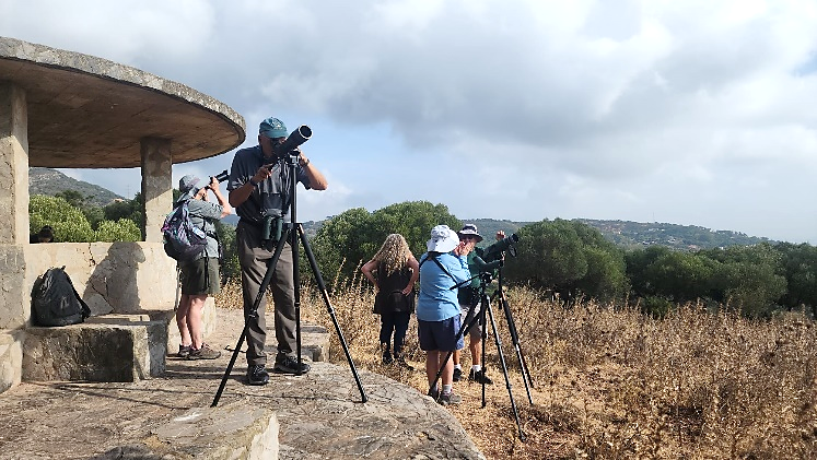 Sunrise Birders in Spain by Frank Gallo.