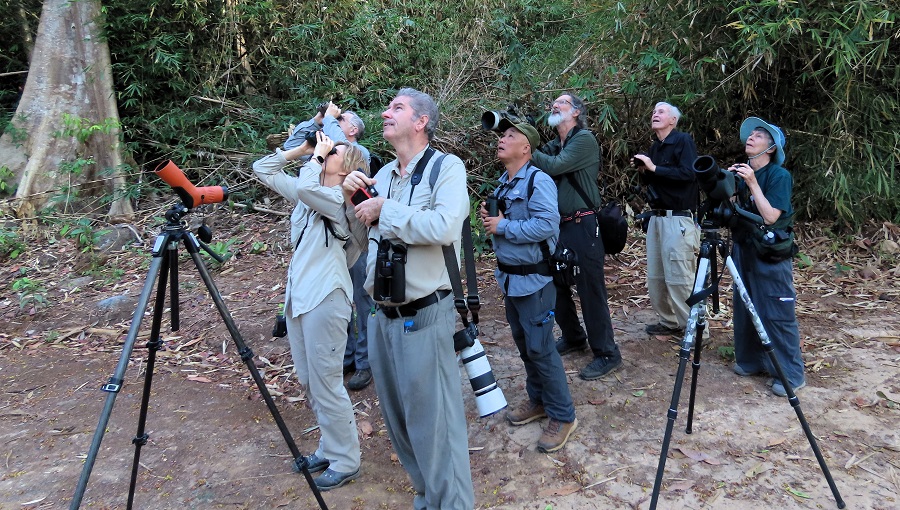 Birding in Cat Tien National Park. Photo © Gina Nichol.