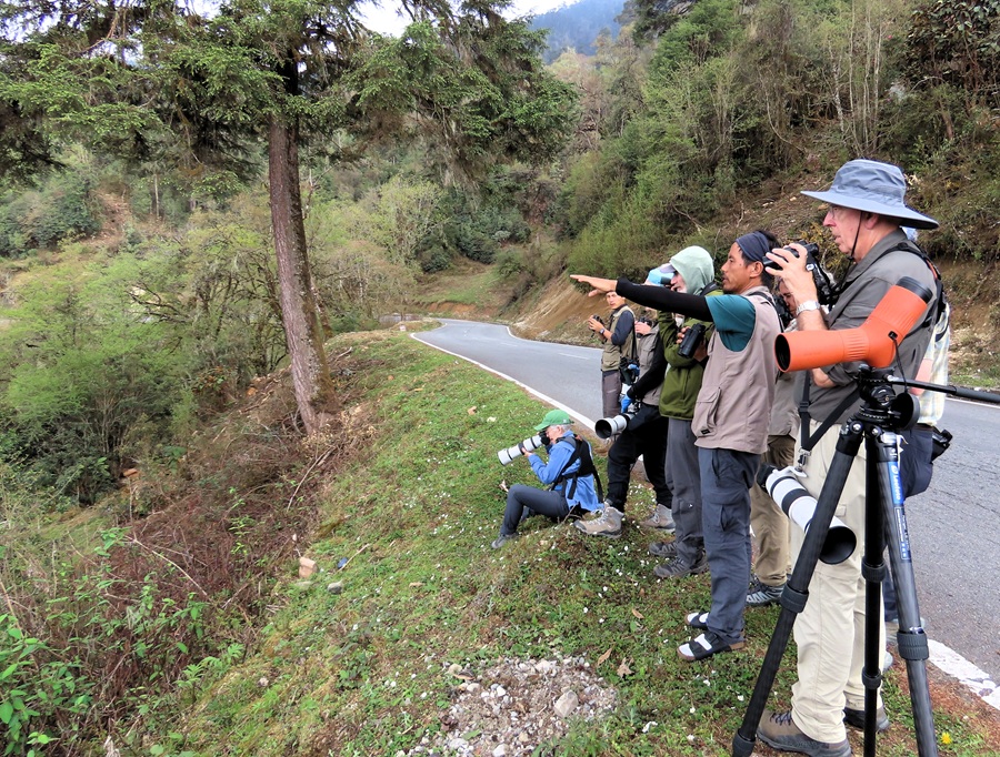 Birding along the road, somewhere in Bhutan. Photo © Gina Nichol 