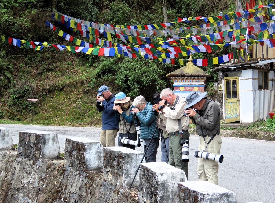 Watching Little Forktail, Bhutan © Gina Nichol 
