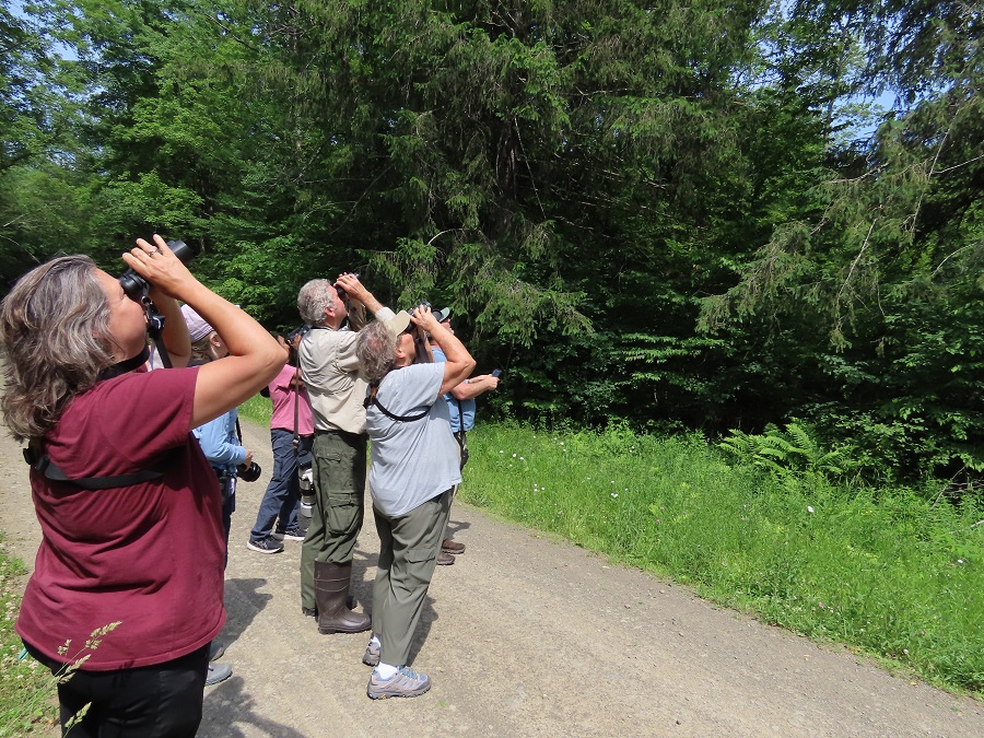 Birding along the road. Photo © Gina Nichol 