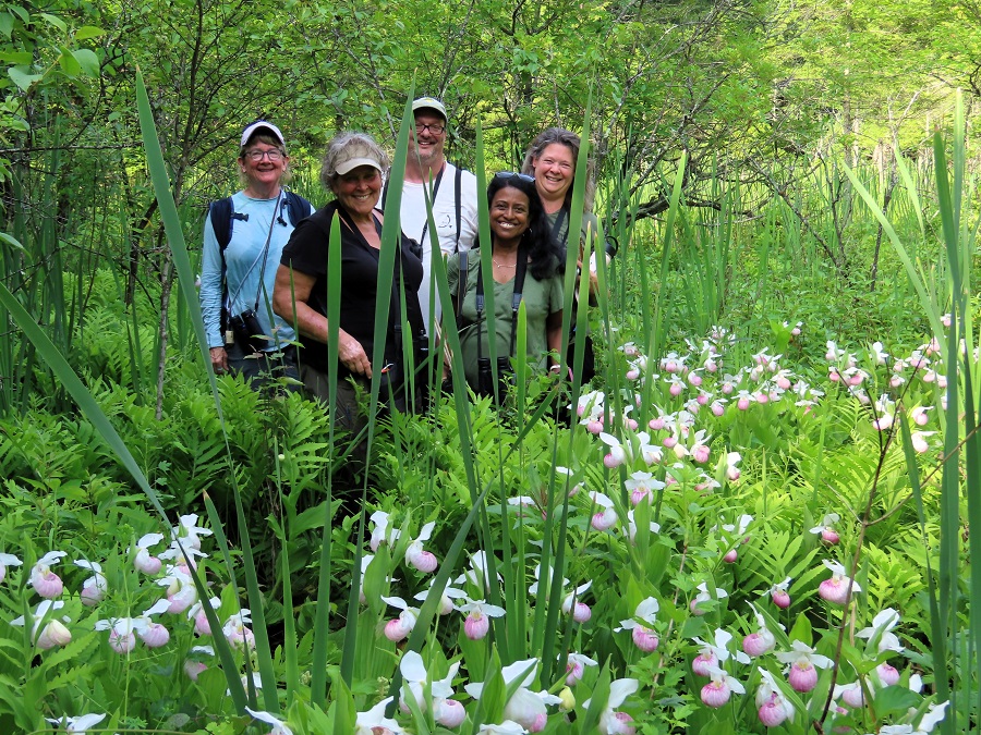 Fabulous group among the Showys. Photo © Gina Nichol 