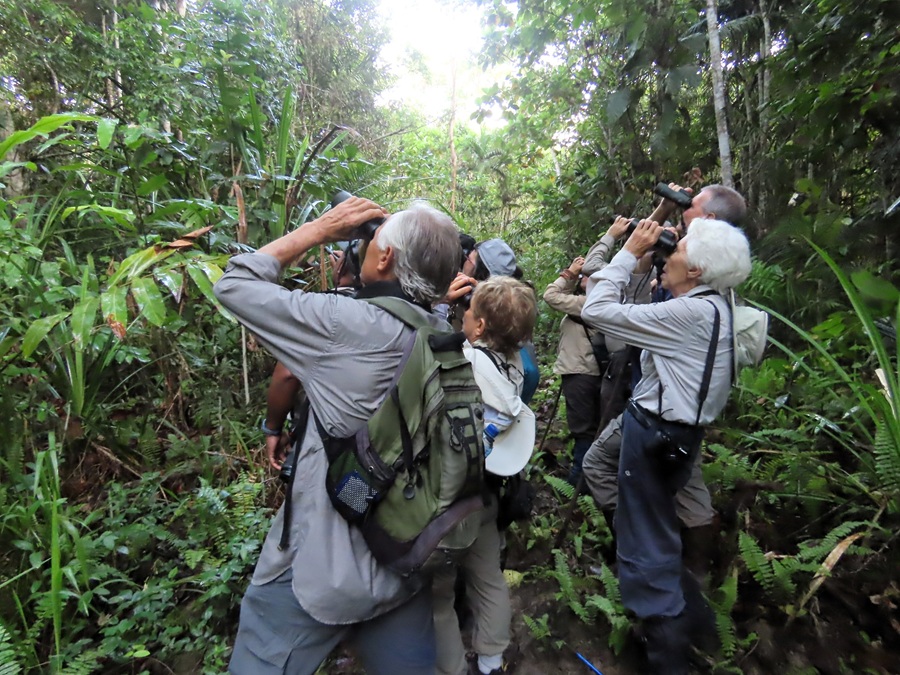 Birding Nimbokrang. Photo © Gina Nichol