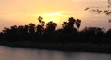 Sunset at Santa Ana NWR