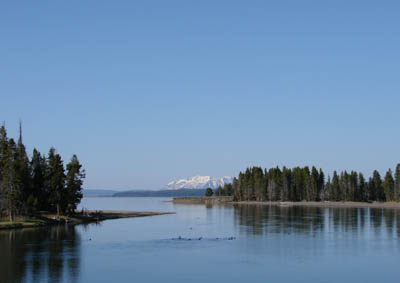 View from the Fishing Bridge