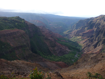 Canyon view.  Photo by Gina Nichol.