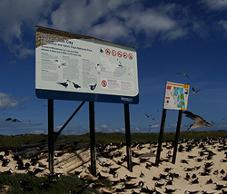 Michalmas Cay. Photo by Gina Nichol.