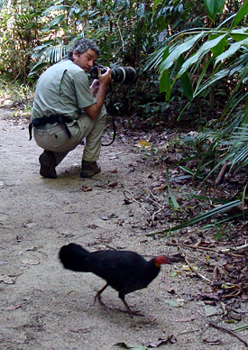 Photographing