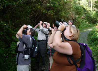 Birding Pico de Caledonia. Photo by Gina Nichol.