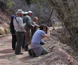 Birders © B. Munden 