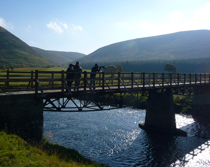 Birding and Wildlife Watching near Coignafearn. Photo © Gina Nichol. 