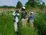 Birding at Dojlidy