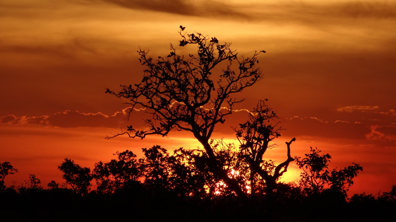 Sunset near Lethem 