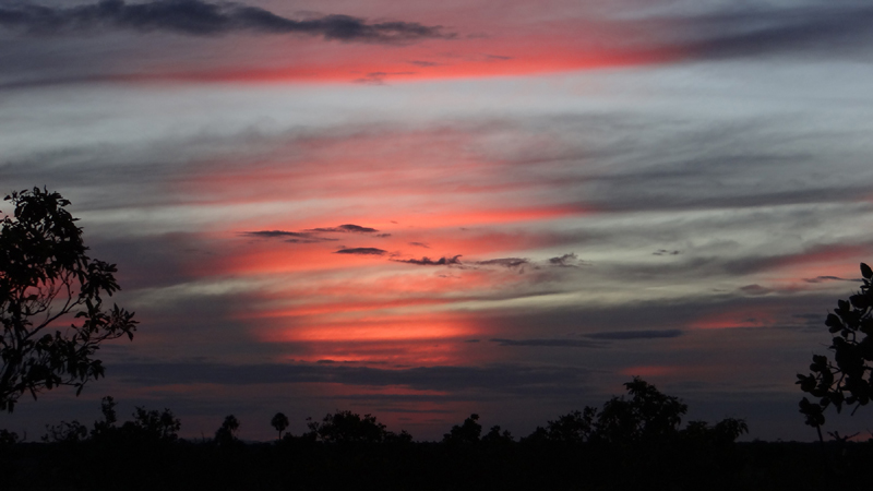 Savannah Sunset 