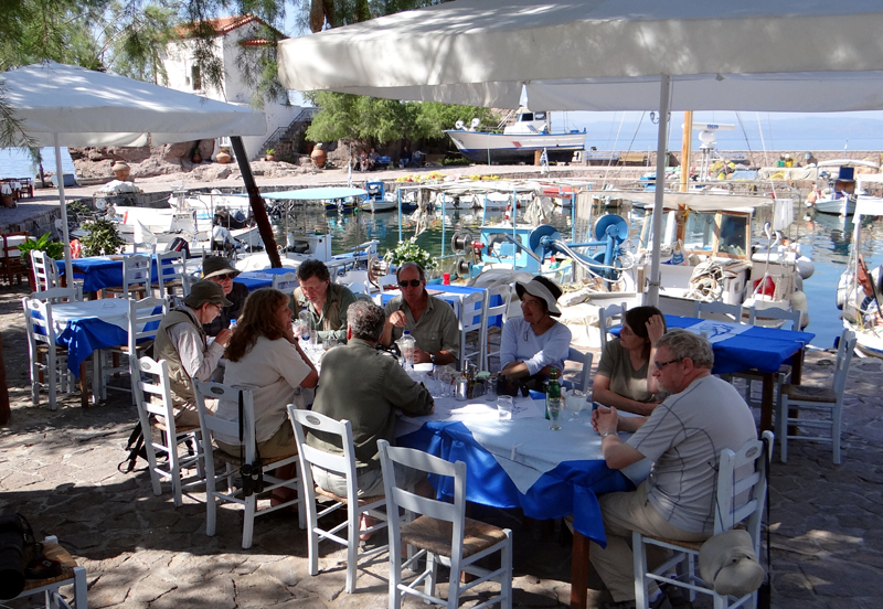 Taverna Lunch at Skala Sikamineas