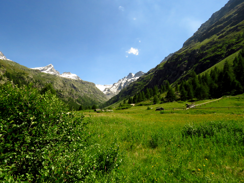 Italian Alps 