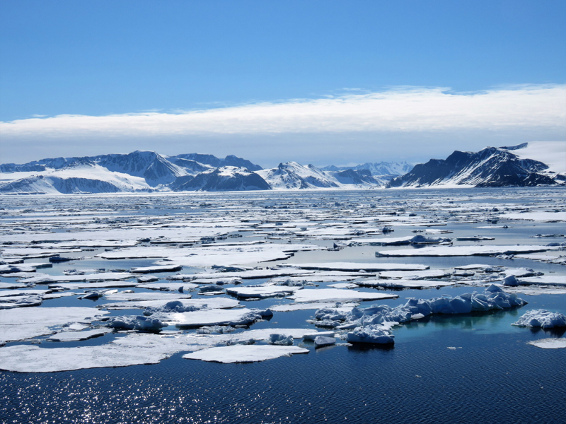 Svalbard ice. Photo  Gina Nichol.