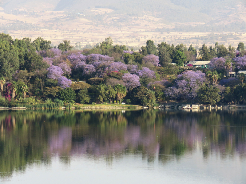 View from Viewpoint Lodge. Photo  Gina Nichol. 