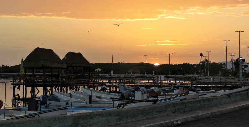 Sunrise Rio Lagartos. Photo © Gina Nichol. 