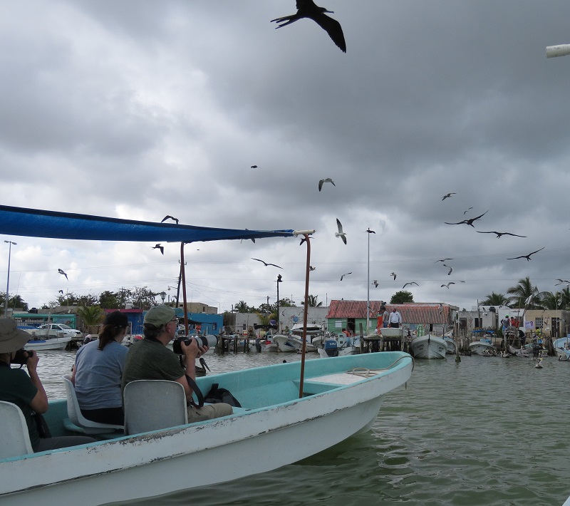 Rio Lagartos Harbor. Photo © Gina Nichol.