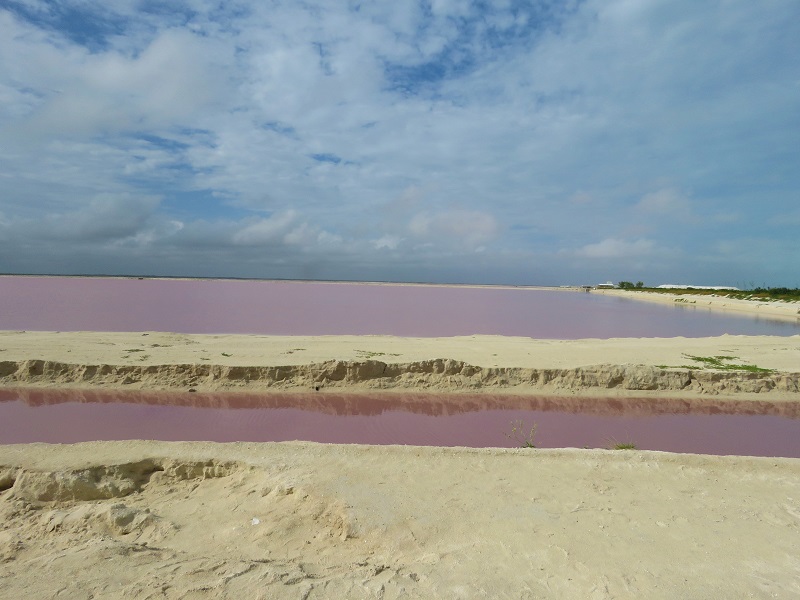 The Pink Lake, Los Colorados, Mexico. Photo © Gina Nichol.