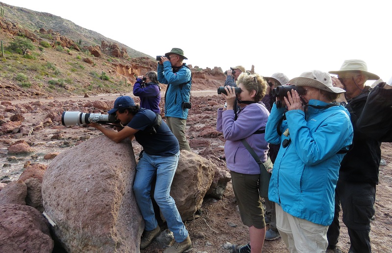 Birding and Antelope Squirrel watching at Espiritu Santo. Photo © Gina Nichol.