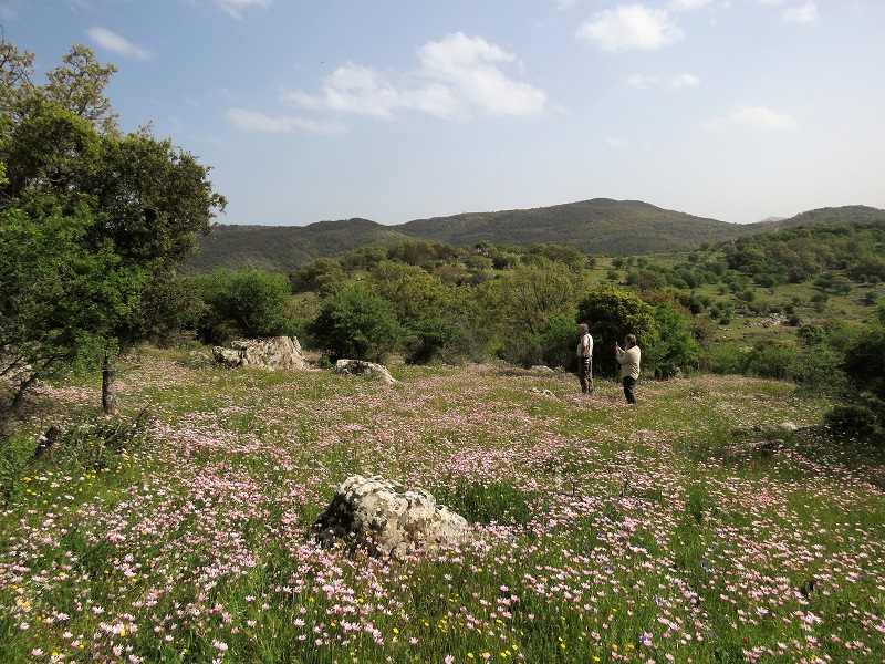 Birding in the flower fields above Filia. Photo © Gina Nichol.