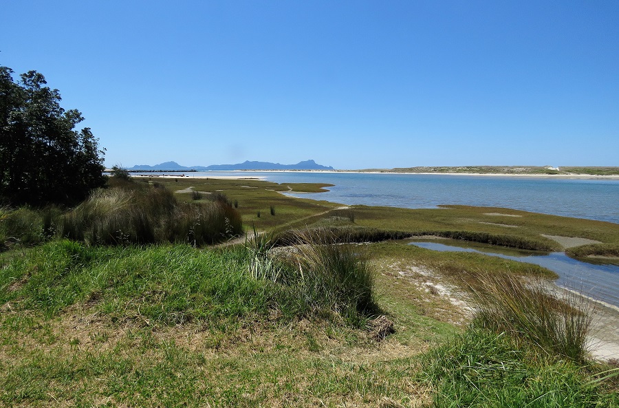 Waipo River Mouth. Photo by Gina Nichol. 