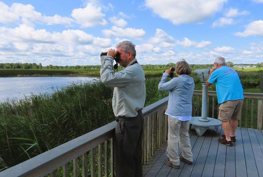 Birding Montezuma National Wildlife Refuge by Gina Nichol.