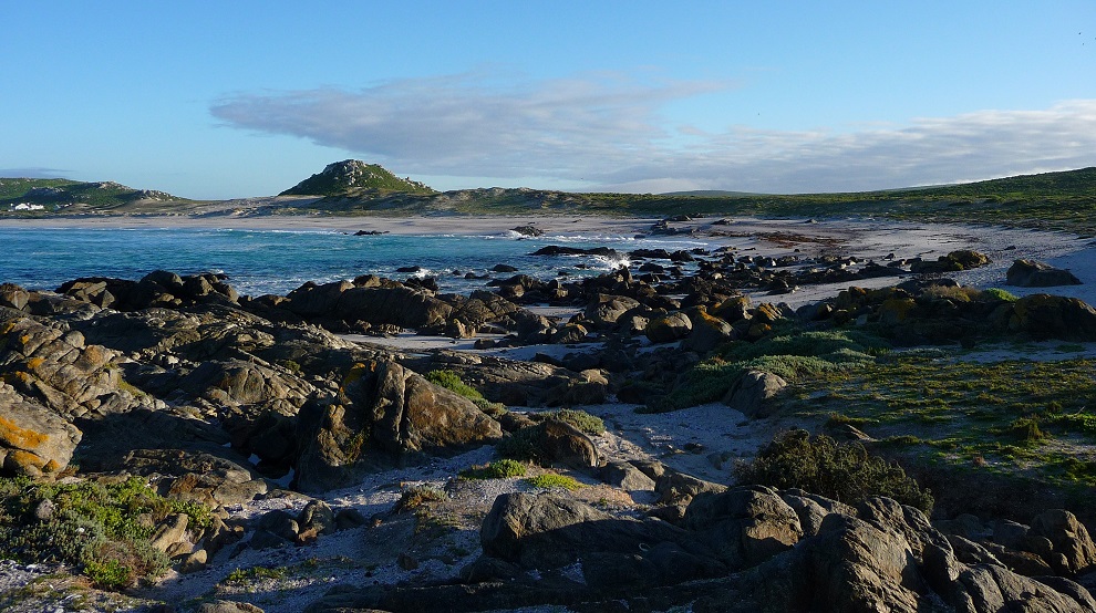 West Coast National Park by Gina Nichol.