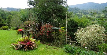 Aracauna Lodge grounds