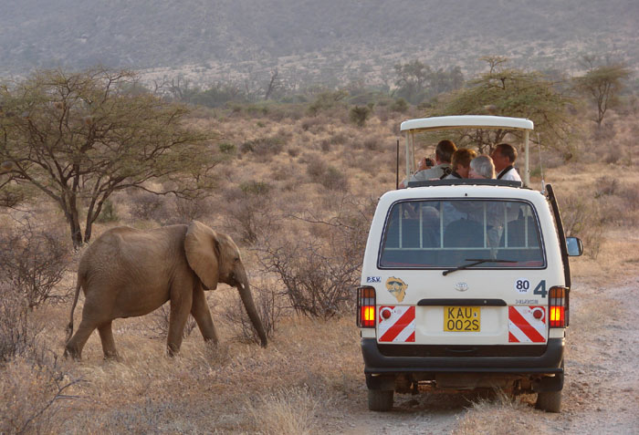 Elephantnearjeep