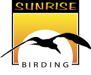 Sunrise Birding logo by Julian Hough