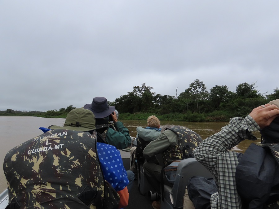 Cruising the river, looking for wildlife © Gina Nichol