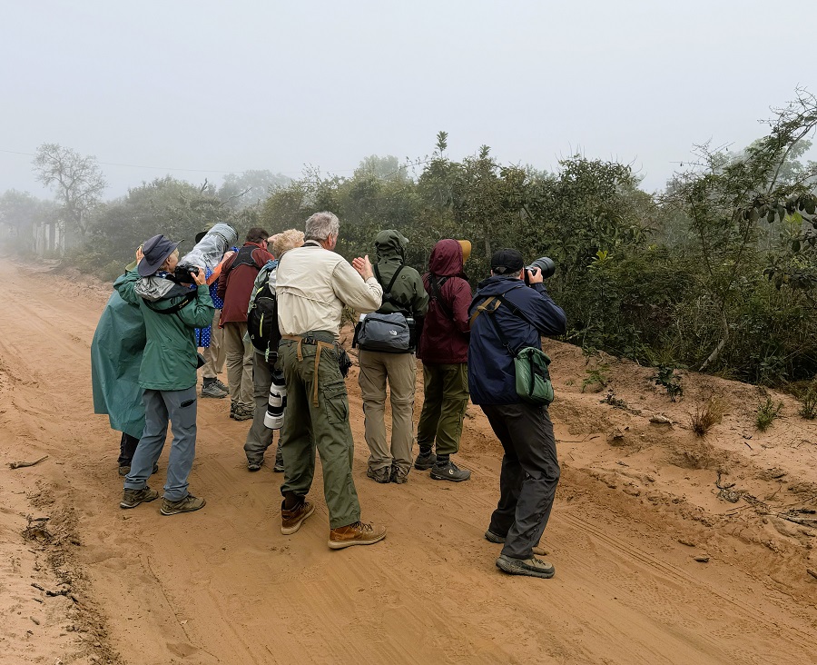 Chapada birding. Photo © Gina Nichol