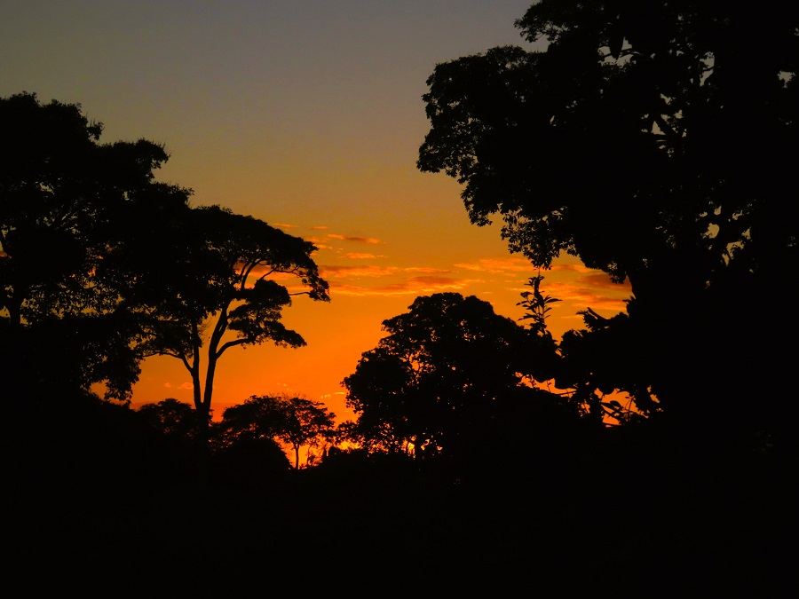 Pantanal sunset © Gina Nichol