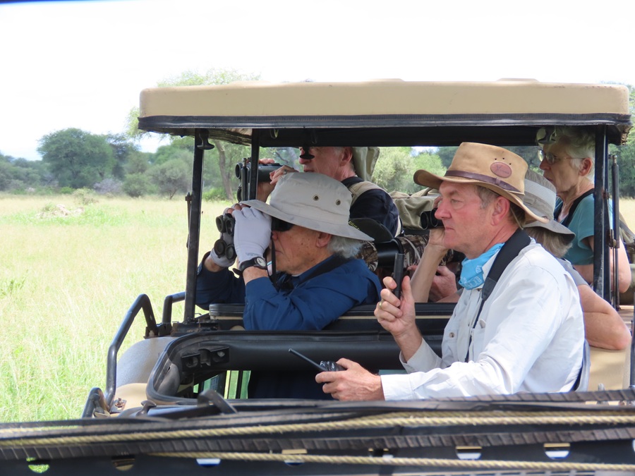 Safari Birding © Gina Nichol