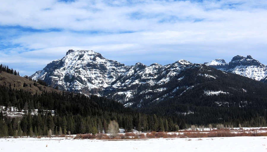 Yellowstone National Park, scenery. Photo &copy; Gina Nichol 