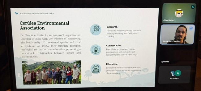Cerulea Presentation